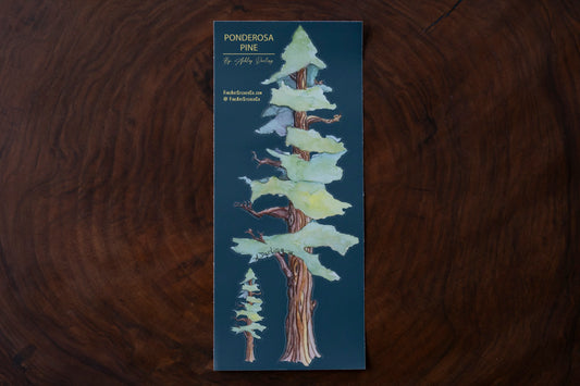 Ponderosa Pines, Fine Art Sticker