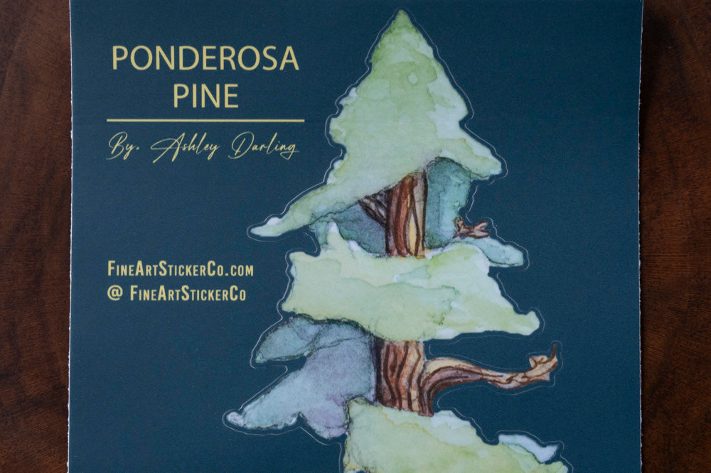 Ponderosa Pines, Fine Art Sticker