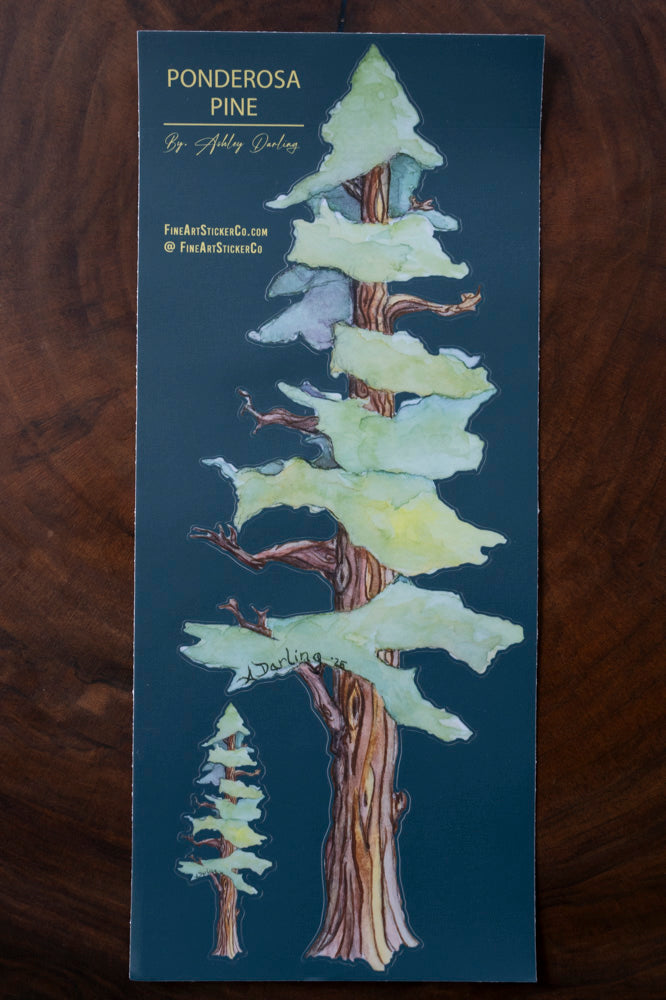 Ponderosa Pines, Fine Art Sticker