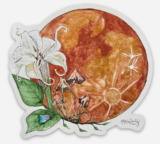 Full Moon Trip